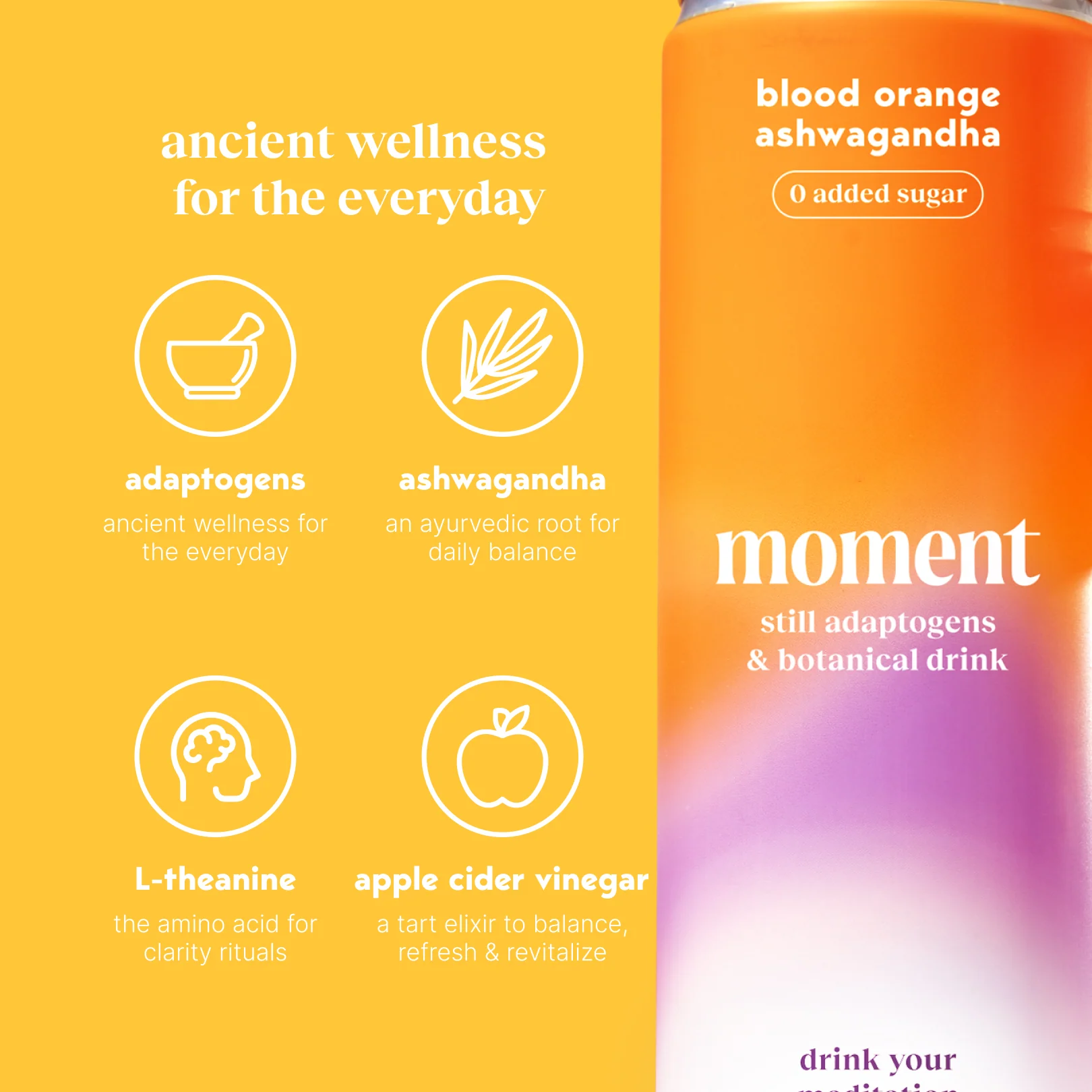 blood orange ashwagandha (botanical tea | 12 pack) - Image 5