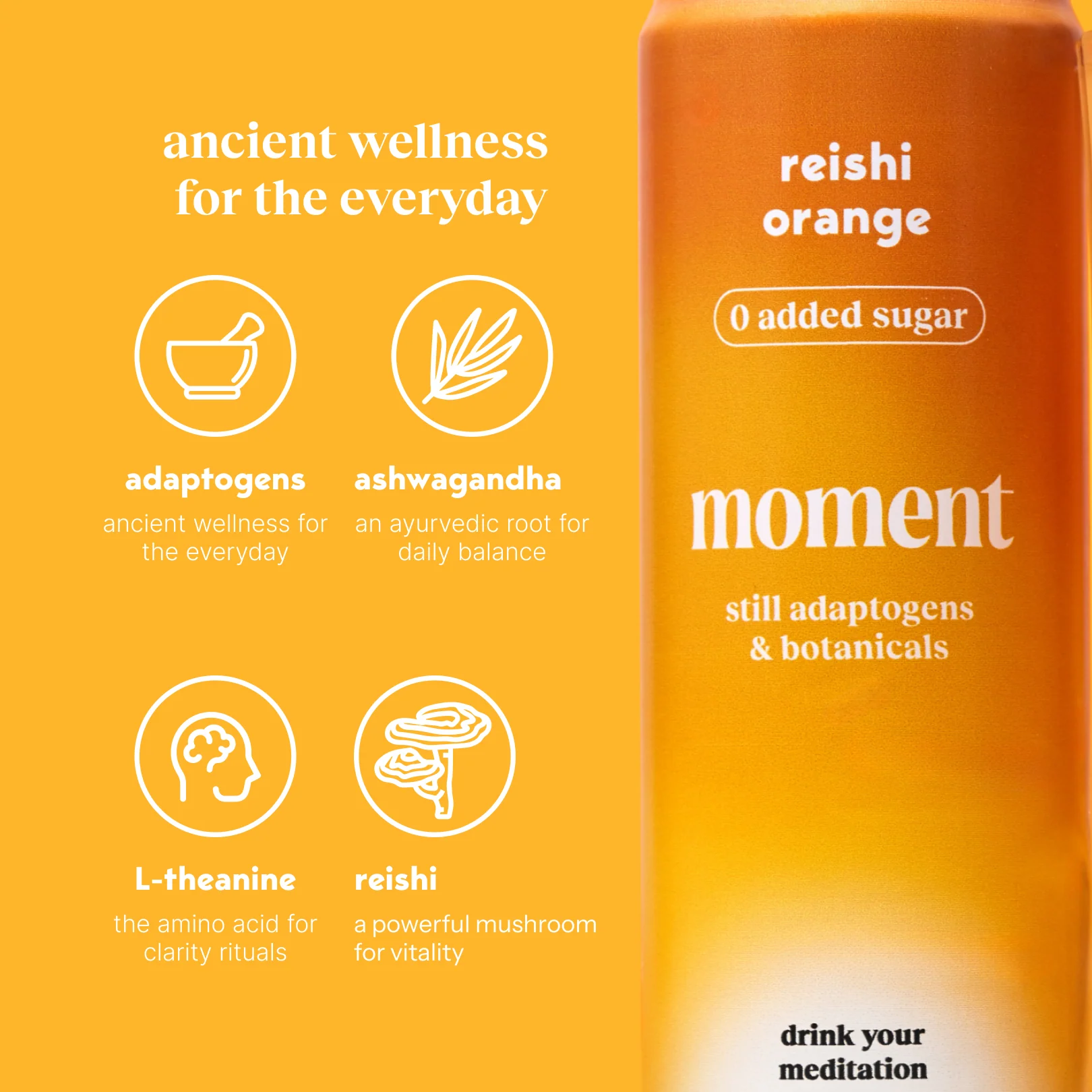 mango chili (botanical soda | 12 pack) - Image 5