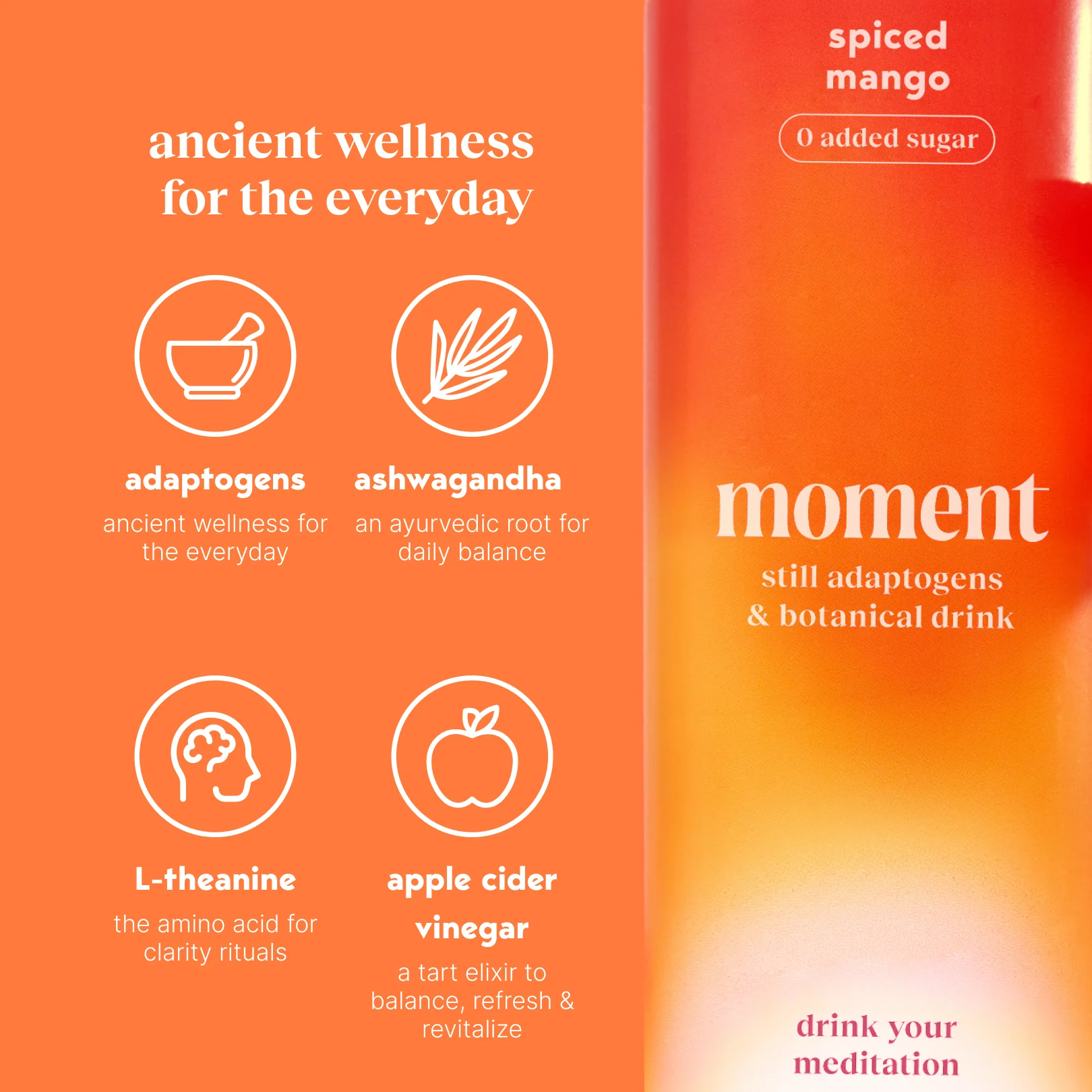 spiced mango (botanical tea | 12 pack) - Image 4